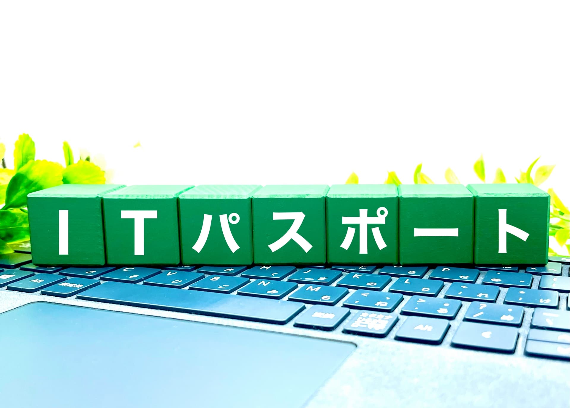 ITパスポートは意味がないと言われる理由|取得するメリットを解説